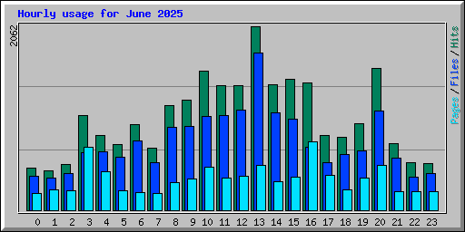 Hourly usage for June 2025