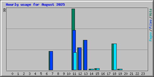 Hourly usage for August 2025