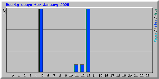 Hourly usage for January 2026