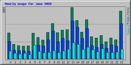 Hourly usage for June 2026