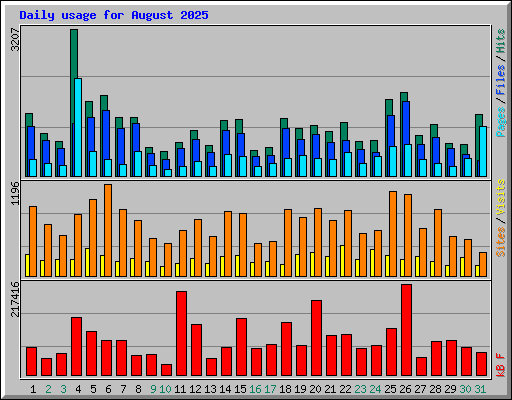 Daily usage for August 2025
