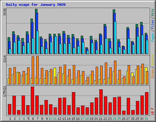 Daily usage for January 2026