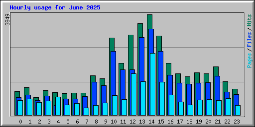 Hourly usage for June 2025