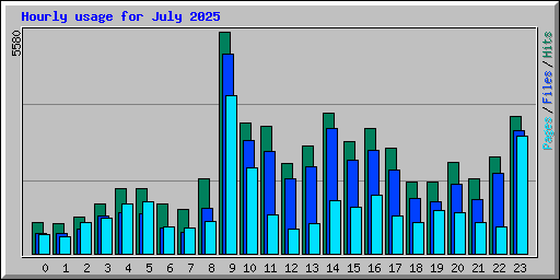 Hourly usage for July 2025