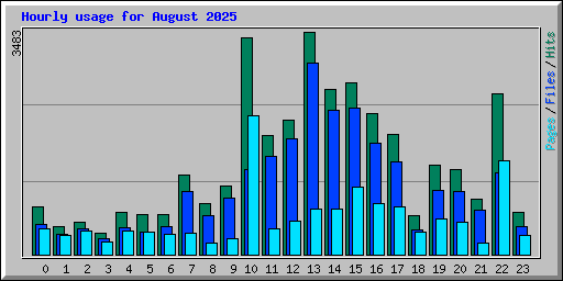 Hourly usage for August 2025