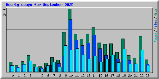 Hourly usage for September 2025
