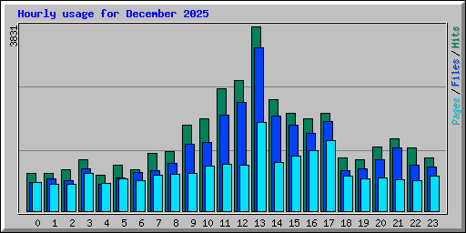 Hourly usage for December 2025