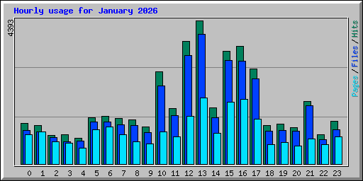 Hourly usage for January 2026