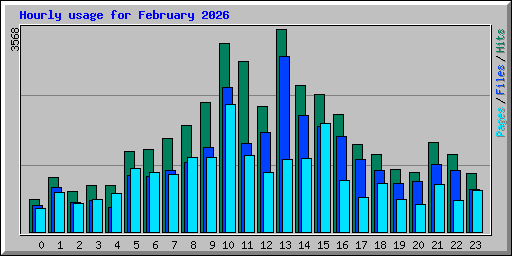 Hourly usage for February 2026
