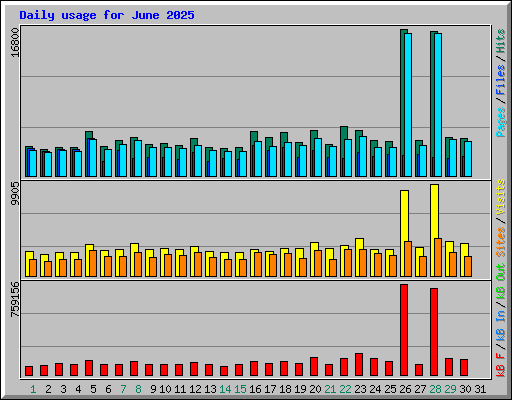 Daily usage for June 2025