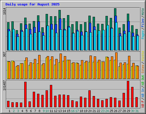 Daily usage for August 2025