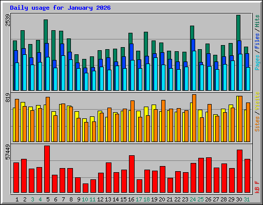 Daily usage for January 2026