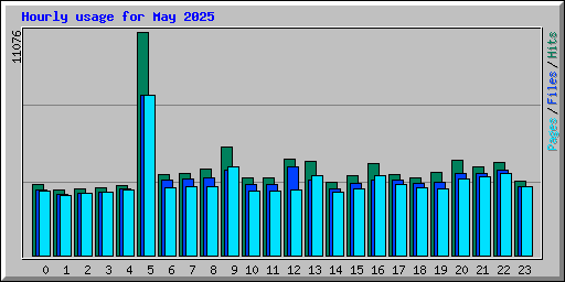 Hourly usage for May 2025