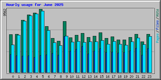 Hourly usage for June 2025