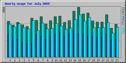 Hourly usage for July 2025