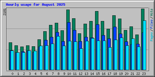 Hourly usage for August 2025