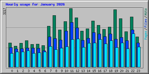 Hourly usage for January 2026