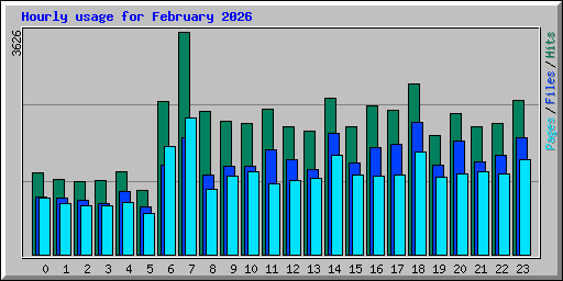Hourly usage for February 2026