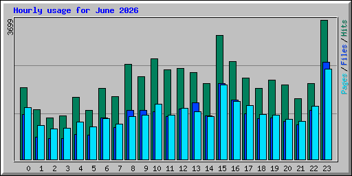 Hourly usage for June 2026
