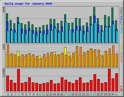 Daily usage for January 2026