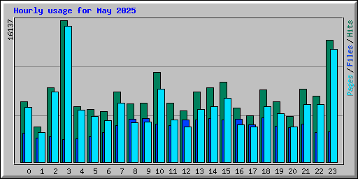 Hourly usage for May 2025