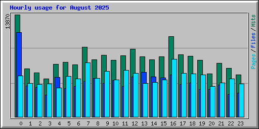 Hourly usage for August 2025