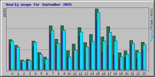 Hourly usage for September 2025