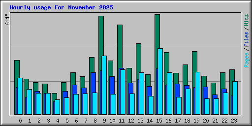 Hourly usage for November 2025