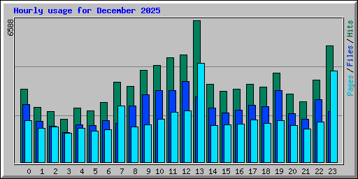 Hourly usage for December 2025