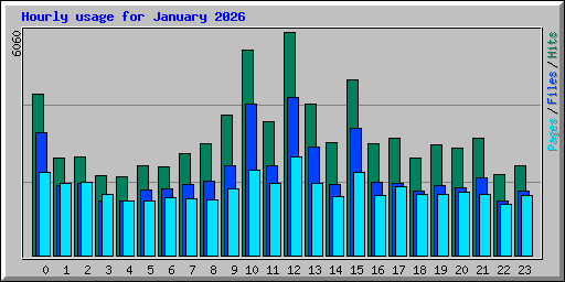 Hourly usage for January 2026
