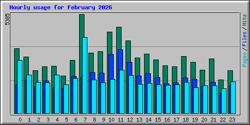 Hourly usage for February 2026