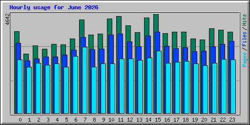 Hourly usage for June 2026