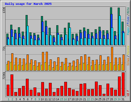 Daily usage for March 2025