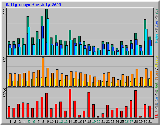 Daily usage for July 2025