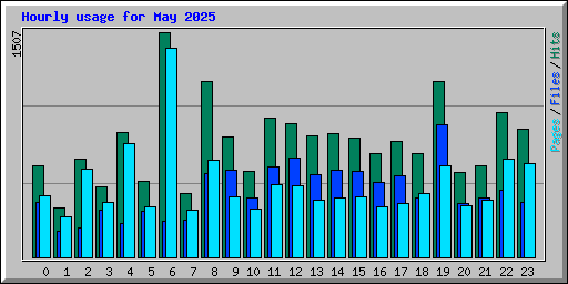 Hourly usage for May 2025