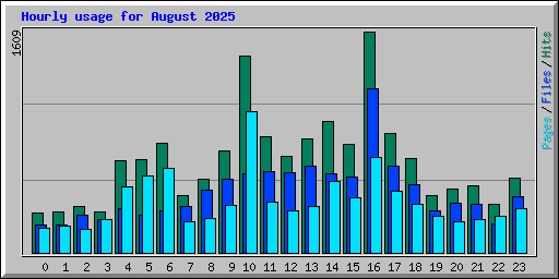 Hourly usage for August 2025