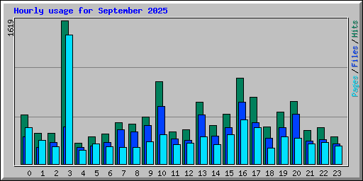 Hourly usage for September 2025
