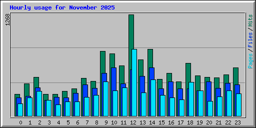 Hourly usage for November 2025