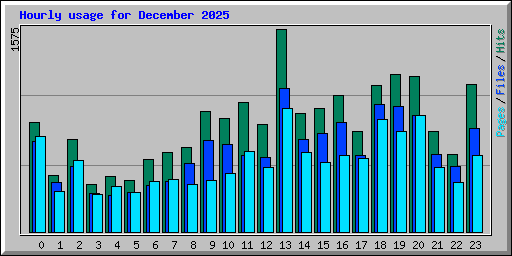 Hourly usage for December 2025