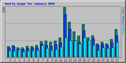 Hourly usage for January 2026
