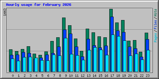Hourly usage for February 2026