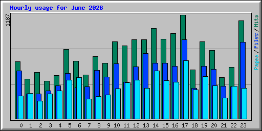 Hourly usage for June 2026