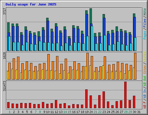 Daily usage for June 2025