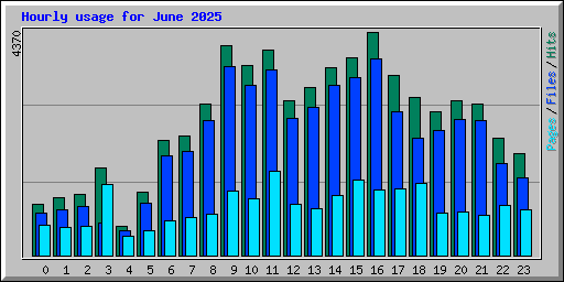 Hourly usage for June 2025