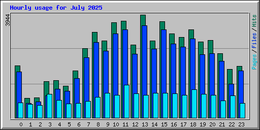 Hourly usage for July 2025