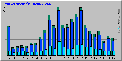 Hourly usage for August 2025
