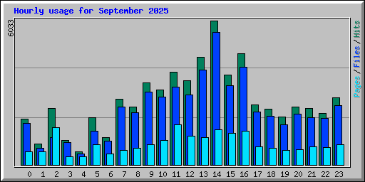 Hourly usage for September 2025