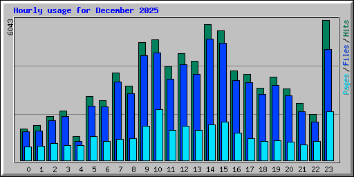 Hourly usage for December 2025