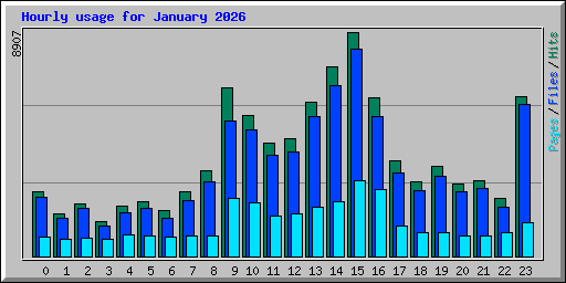 Hourly usage for January 2026