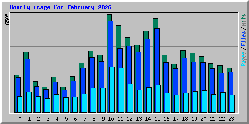 Hourly usage for February 2026